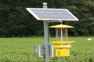 投資太陽能發電新藍海 2019年加盟和平陽光的成本解析與成功之道